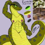1:1 2025 5_fingers abs anaconda anthro apode areola biceps big_tail boa_(snake) boinae breasts claws clitoral_hood clitoris countershade_face countershade_neck countershade_scales countershade_tail countershade_torso countershading dated digital_drawing_(artwork) digital_media_(artwork) draconcopode eyelashes facial_markings female female_anthro finger_claws fingers fist flat_colors flexing flexing_bicep forearm_muscles front_view genitals green_anaconda green_body green_eyes green_scales grey_claws grey_markings grey_spots head_markings hi_res humanoid_genitalia humanoid_hands humanoid_vulva inner_labia legless long_neck long_tail looking_at_viewer markings medium_breasts model_sheet muscular muscular_anthro muscular_female naga nipples non-mammal_breasts nude nude_anthro nude_female procreate_(artwork) pupils purple_areola purple_clitoral_hood purple_clitoris purple_inner_labia purple_nipples purple_vulva quads reference_image reptile scale_markings scales scalie serpentine signature slit_pupils smile smiling_at_viewer snake snake_naga snout solo spe species_name spots tail tail_markings tapering_tail text thick_tail triceps ventral_scales vulva wide_hips yellow_body yellow_countershading yellow_outer_labia yellow_scales yellow_vulva