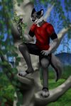 2020 anthro archived_source birch_tree blue_eyes bottomwear canid canine canis clothing daniel_(danwolf14) digital_drawing_(artwork) digital_media_(artwork) ellav323 eye_spots feet fur grey_body grey_fur hand_on_hip handpaw hi_res hindpaw holding_branch holding_plant looking_at_viewer male mammal mountain open_mouth pawpads paws plant red_clothing red_shirt red_topwear shirt shorts signature solo spots standing standing_on_tree topwear tree watermark wolf