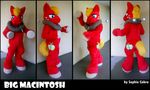  anthrofied big_macintosh_(mlp) cosplay equine friendship_is_magic fursuit horse male mammal my_little_pony pony real sophiecabra 
