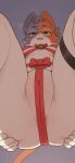 anthro anus anus_peek barely_visible_anus bell_choker black_eyes blue_body blue_fur bow_ribbon breasts butt calico_cat camel_toe cate_meowdy domestic_cat epic_games eyewear eyewear_only felid feline felis female fortnite fur genital_outline gift_wrapped glasses hi_res leg_belt looking_at_viewer looking_down looking_down_at_viewer low-angle_view mammal mostly_nude narrowed_eyes navel nipple_outline nude orange_body orange_fur ovogustav round_glasses snaggle_tooth solo spread_butt spreading under_boob vulva_outline wearing_glasses white_body white_fur