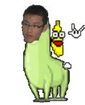  cingku gay llama tagme 