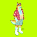 1:1 2026 alibi_47 aloha_shirt anthro belly bottomwear canid canine canis cheek_tuft clothed clothing colored_sketch countershading dated domestic_dog eyewear eyewear_on_head facial_tuft flat_colors footwear full-length_portrait fur hand_in_pocket head_tuft hi_res looking_aside male male_anthro mammal open_clothing open_shirt open_topwear overweight overweight_male partially_clothed_male pattern_clothing pattern_shirt pattern_topwear pink_body pink_fur pockets portrait shirt shorts signature sketch smile socks solo sunglasses sunglasses_on_head tail tan_body tan_fur topwear tuft wearing_sunglasses whiskers white_body white_fur