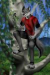 2020 anthro archived_source birch_tree blue_eyes bottomwear canid canine canis clothing daniel_(danwolf14) digital_drawing_(artwork) digital_media_(artwork) ellav323 eye_spots feet fur grey_body grey_fur hand_on_hip handpaw hi_res hindpaw holding_branch holding_plant light light_beam looking_at_viewer male mammal open_mouth pawpads paws plant red_clothing red_shirt red_topwear shirt shorts signature solo spots standing standing_on_tree sunbeam sunlight topwear tree watermark wolf