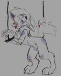 abuse animal_genitalia anthro ball_tuft balls blood blood_from_mouth blood_in_mouth blush blush_lines bodily_fluids bound bruised bruised_butt bruised_cheek bruised_eye bruised_knee butt canid canine canis dazed domestic_dog genitals guide_lines hair hands_tied husky implied_cannibalism line_art long_hair male mammal meat_hook nordic_sled_dog nosebleed penis penis_tip raised_tail sheath sketch solo spitz sweat tail torture tuft wickedwhiskerz