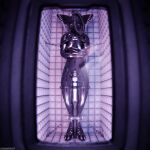 1:1 3d_(artwork) absurd_res animal_genitalia animal_penis anthro anthro_on_anthro arms_tied ball_gag balls bdsm biped black_body black_clothing black_latex blender_(artwork) blender_cycles_(artwork) blindfold blue_penis bondage bound bulge canid canine canine_genitalia canine_penis canis chain claws clothed clothing cuff_(restraint) depth_of_field digital_media_(artwork) dragonplayer dragonplayer_(character) encasement forced forced_orgasm fox gag gagged genitals hands_tied hanging_from_ceiling hi_res hitachi hitachi_magic_wand inside latex latex_clothing latex_skinsuit latex_straitjacket legs_tied magic_wand male mammal metal_cuffs multicolored_body muzzle_(object) muzzled nasal_tube orgasm orgasm_denial padded_room padded_walls paws penile penis permanent_bondage permanent_encasement permanent_orgasm_denial permanent_sensory_deprivation predicament_bondage reflection restraints rexouium sealed sensory_deprivation sensory_deprivation_hood sex_toy skinsuit slim slim_anthro slim_male slim_sub solo straitjacket submissive submissive_male suspended_by_leg suspension tail tight_clothing tube tube_gag tube_in_mouth vibrator vibrator_on_penis wand_vibrator
