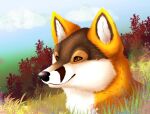 black_nose brown_eyes canid canine cloud feral fox fur grass hi_res inner_ear_fluff little_bean_art male mammal morning multicolored_body multicolored_fur orange_body orange_fur outside plant portrait shrub solo tuft white_inner_ear_fluff