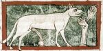 13th_century ancient_art animal_genitalia balls bodily_fluids felid feline feral feral_peeing genital_fluids genitals lyngurium lynx male male_peeing mammal open_mouth peeing peeing_on_ground penis rock sheath solo standing tail unknown_artist urine urine_on_ground urine_stream