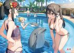  1boy 3girls bikini black_bikini black_hair blonde_hair blue_bikini breasts brown_hair cleavage dolphin elsa_muller_(sasaki_to_p-chan) futarishizuka_(sasaki_to_p-chan) halterneck highres kantoku medium_breasts multiple_girls otonari-san_(sasaki_to_p-chan) pool purple_bikini sasaki_to_p-chan side-tie_bikini_bottom small_breasts string_bikini striped_bikini striped_clothes swimsuit triangle_bikini_top 