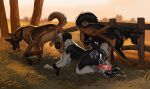 2026 after_anal all_fours anal animal_genitalia animal_penis anthro anthro_on_feral anus backsack balls bestiality black_body black_pawpads bodily_fluids border_collie brown_balls brown_body brown_fur butt canid canine canine_genitalia canine_penis canis collar collie cum cum_from_ass cum_in_ass cum_inside cum_on_body domestic_dog erection feet feral fur genital_fluids genitals german_shepherd group group_sex herding_dog hi_res intraspecies intraspecies_bestiality jetraraven knot knotted_penis male male/male male_anthro male_feral mammal nude on_ground oral outside pastoral_dog pawpads paws penis penis_backwards pink_genitals plant red_genitals red_penis rimming sex sheath sheepdog tail threesome toes tongue tongue_out trio white_body