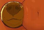 2026 :3 ambiguous_anthro ambiguous_gender anthro areola barbell_piercing black_nose canid canine canis colored detailed digital_drawing_(artwork) digital_media_(artwork) duo fisheye_lens hi_res humor looking_at_self looking_at_viewer male_(lore) mammal nipple_barbell nipple_piercing nipples payanuma piercing pink_areola pink_nipples polf_(payanuma) reflection reflection_only snout solo wolf
