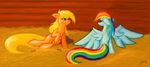  barn blue_fur cutie_mark duo equine female feral friendship_is_magic fur hair_band hasbro horse mammal my_little_pony pegasus pony rainbow_dash_(mlp) unknown_artist wings 