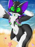 3:4 absurd_res anthro balls beach black_body black_fur dilan_(mr_rmar) fur genitals green_eyes green_penis hi_res hybrid machine male mr_rmar neon_lights penis protogen purple_ears selfie simple_background solo white_body white_fur