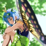 1:1 animal_humanoid antennae_(anatomy) arthropod arthropod_humanoid black_clothing black_dress blue_hair blurred_background butterfly_humanoid clothed clothed_female clothed_humanoid clothing dress eternity_larva female female_humanoid green_clothing green_dress hair hi_res humanoid insect insect_humanoid insect_wings kaigen_1025 knees_pulled_up leaf leaf_on_head lepidopteran lepidopteran_humanoid lepidopteran_wings looking_at_viewer orange_eyes side_view solo touhou wings