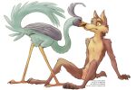 3:2 animal_genitalia anthro avian beak bird blue_body blue_feathers brown_body brown_fur canid canine canis claws cloaca coyote cuculiform duo feathers feral fur genitals hi_res kissing long_legs long_neck looney_tunes male male/male mammal new_world_ground_cuckoo penis penis_tip peregr1ne road_runner_(looney_tunes) roadrunner sheath simple_background sitting surprised text url warner_brothers white_background wile_e._coyote yellow_eyes