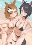  2girls absurdres ahoge animal_ears animal_print asymmetrical_docking bare_shoulders beach bikini black_bikini black_choker black_hair blue_eyes blush braid breast_press breasts brown_hair choker cleavage collarbone commentary_request ear_ornament fuji_kiseki_(umamusume) hair_between_eyes hair_ornament hairclip half_up_half_down_braid highres horse_ears horse_girl horse_tail jewelry jungle_pocket_(umamusume) large_breasts leopard_print leopard_print_bikini looking_at_viewer medium_breasts medium_hair multicolored_hair multiple_girls navel necropoi notched_ear open_mouth outdoors print_bikini short_hair smile stomach swimsuit tail thigh_strap umamusume water white_hair yellow_eyes 