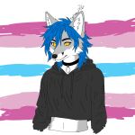 1:1 anthro arctic_fox black_clothing black_collar blue_hair canid canine cheek_tuft clothing collar crop_top cropped_hoodie facial_tuft femboy fox fur grey_body grey_fur hair inner_ear_fluff long_hair male mammal navel no_pupils shirt solo topwear tora_(toraarcticfox) toraarcticfox true_fox tuft white_body white_fur yellow_eyes