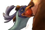 3:2 animal_genitalia animal_penis anthro avian beak beak_fetish beak_play beak_sex beakjob bestiality bird blue_body blue_feathers bodily_fluids brown_body brown_fur canid canine canine_genitalia canine_penis canis claws coyote cuculiform duo feathered_crest feathers fellatio feral feral_penetrated fur genitals head_crest hi_res interspecies knot knotting lidded_eyes looney_tunes male male/male mammal neck_bulge new_world_ground_cuckoo oral oral_knotting oral_penetration penetration penile penis peregr1ne road_runner_(looney_tunes) roadrunner saliva sex sheath simple_background warner_brothers white_background wile_e._coyote