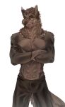 abs absurd_res anthro athletic athletic_male athletic_wear bottomwear broad_shoulders brown_body brown_fur canid canine canis clothed clothing crossed_arms denji_(greenjexkev) fur gym_bottomwear gym_shorts half-length_portrait hi_res kristiana_puff male mammal multicolored_body multicolored_fur partially_clothed portrait shirtless shirtless_male shorts simple_background solo standing tail two_tone_body two_tone_fur white_background wolf yellow_eyes