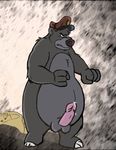  baloo bear chubby disney hat male mammal nude penis solo talespin 