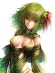  breasts capelet cleavage final_fantasy final_fantasy_iv green_eyes green_hair hair_ornament kara_(color) medium_breasts older rydia simple_background solo 