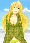  ahoge bad_id bad_pixiv_id beach bikini bikini_under_clothes blonde_hair breasts cleavage collarbone green_eyes head_tilt hoshii_miki idolmaster idolmaster_(classic) long_hair medium_breasts navel open_mouth plaid smile solo swimsuit swimsuit_under_clothes taruba unmoving_pattern 