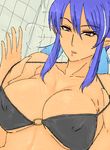  69_(tranquilo) bad_id bad_pixiv_id bikini blue_hair breasts brown_eyes judith large_breasts pointy_ears solo swimsuit tales_of_(series) tales_of_vesperia undressing 