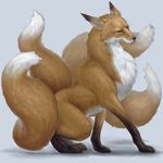  canine feral fox kemokemono kitsune mammal multiple_tails plain_background simple_background solo tail 