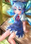  blue_eyes blue_hair brown_hair cirno fang flukelack food hair_ribbon hakurei_reimu ice_cream ribbon solo touhou wings 