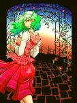  bare_tree dotturu flower green_hair kazami_yuuka looking_back plaid red_eyes rose short_hair smile solo touhou tree 