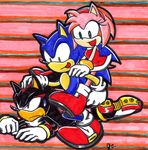  angry black black_fur blue dress female fur gloves green_eyes hair happy hedgehog ihearrrtme male mammal pattern_background pink pink_body pink_hair red_eyes sega shadow_the_hedgehog shoes sonic_(series) sonic_the_hedgehog sweat 