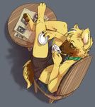  anthro chair clothing collar csolti cup drinking green_eyes hindpaw looking_at_viewer male mammal mitsukuni newspaper pawpads paws plate shorts solo table 