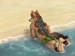  canine crotchbandit jackal looking_at_viewer male mammal sand seaside solo swimsuit water 