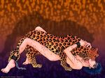  bestiality blood cheetah cuffs leopard male male_focus yaoi 