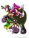  bee charmy_bee espio_the_chameleon gloves green green_body insect male pink pink_body plain_background sega shoes sonic_(series) teeth vector_the_crocodile white_background yuski 