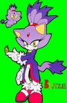  cat chao cute darksonic250 feline female fire green_background hair looking_at_viewer mammal plain_background ponytail purple purple_body purple_clothing purple_hair sega solo sonic_(series) tail yellow_eyes 