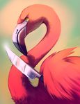  bird commentary flamingo knife no_humans original solo what 