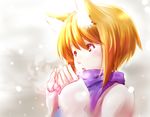  animal_ears blonde_hair blowing dearmybrothers fox_ears hand_to_own_mouth no_hat no_headwear open_mouth scarf short_hair snowing solo touhou yakumo_ran yellow_eyes 