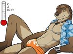  anthro bulge clothing ear_piercing eyebrow_piercing facial_piercing fur kiva looking_at_viewer male mammal muscles mustelid navel navel_piercing necklace open_shirt otter pecs piercing pose shirt solo speedo swimsuit thermometer tsaiwolf underwear watch wristwatch yellow_eyes 