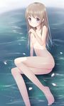  atelier_(series) atelier_totori bad_id bad_pixiv_id barefoot breasts brown_hair feet highres legs long_hair lying nipples nude ohirune partially_submerged petals purple_eyes small_breasts solo totooria_helmold water 