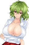  ashima_takumi breast_hold breasts cleavage covered_nipples crossed_arms green_hair kazami_yuuka large_breasts light_smile open_clothes open_shirt red_eyes shirt short_hair simple_background solo touhou 