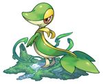  grass no_humans pearl7 pokemon snivy solo 