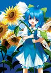  bad_id bad_pixiv_id blue_eyes blue_hair bow chagen_kokimu cirno flower hair_bow highres open_mouth smile solo sunflower touhou 