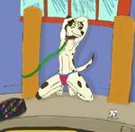  ayato canine collar dalmatian dog kawolfsdream looking_at_viewer male mammal pet pose solo thong 