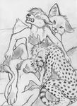  anthro balls bisexual blush breasts canine cheetah eyes_closed feline fellatio female flat_chested fox from_behind gay greyscale group group_sex interspecies knot lion male mammal monochrome nude oral oral_sex orgy penis sex side_boob sketch small_chest spera straight 