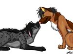  canine dog duo feral german_shepherd green_eyes hair licking mammal tongue 