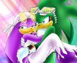  bandanna beak bird blue_eyes chest_tuft clothing couple embrace eyewear female gloves goggles green green_body half-closed_eyes hawk jet_the_hawk pants purple purple_body sega sonic_(series) sonic_riders sunglasses swallow_(bird) taleea tuft wave_the_swallow 