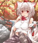  animal_ears arm_up autumn_leaves black_legwear blush detached_sleeves forest hands hasu_(hk_works) hat inubashiri_momiji leaf maple_leaf midriff nature pantyhose red_eyes shirt short_hair silver_hair sitting skirt solo tail tokin_hat touhou tree tree_shade wolf_ears wolf_tail 