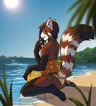  anthro bikini clothed clothing crossdressing edit girly inflatable kneeling looking_at_viewer male mammal red_panda seaside skimpy solo summer sun swimsuit trap veroro water 
