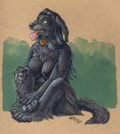  2009 black canine collar cute dog female mavvie nude red_dog shy sitting tongue tongue_out 