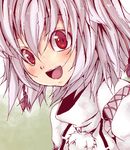  bad_id bad_pixiv_id bangs fukai_ryousuke inubashiri_momiji red_eyes silver_hair solo touhou 